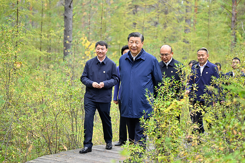 9月6日至8日，中共中央總書記、國家主席、中央軍委主席習(xí)近平在黑龍江考察。這是6日下午，習(xí)近平在大興安嶺地區(qū)漠河市漠河林場(chǎng)自然林區(qū)考察